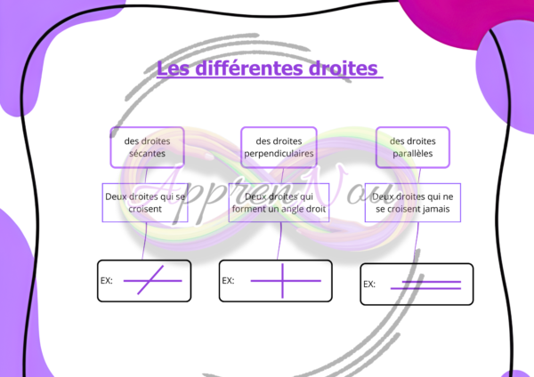 Les droites et les segments.